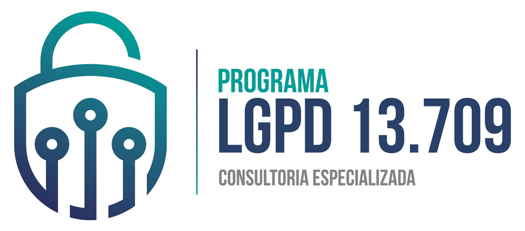 Programa LGPD 13.709